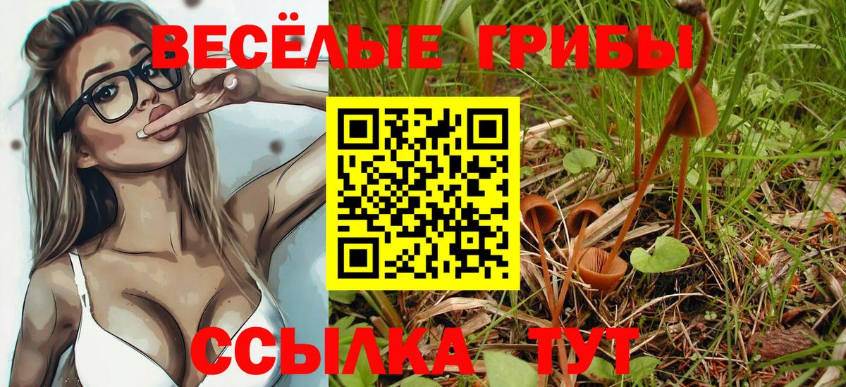Ефремов  Псилоцибиновые грибы GOLDEN TEACHER  Вход с VPN 